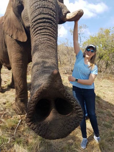 Walking trunk in hand at the elephant sanctuary in plettenberg bay