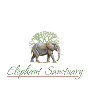 Elephant Sanctuary South Africa